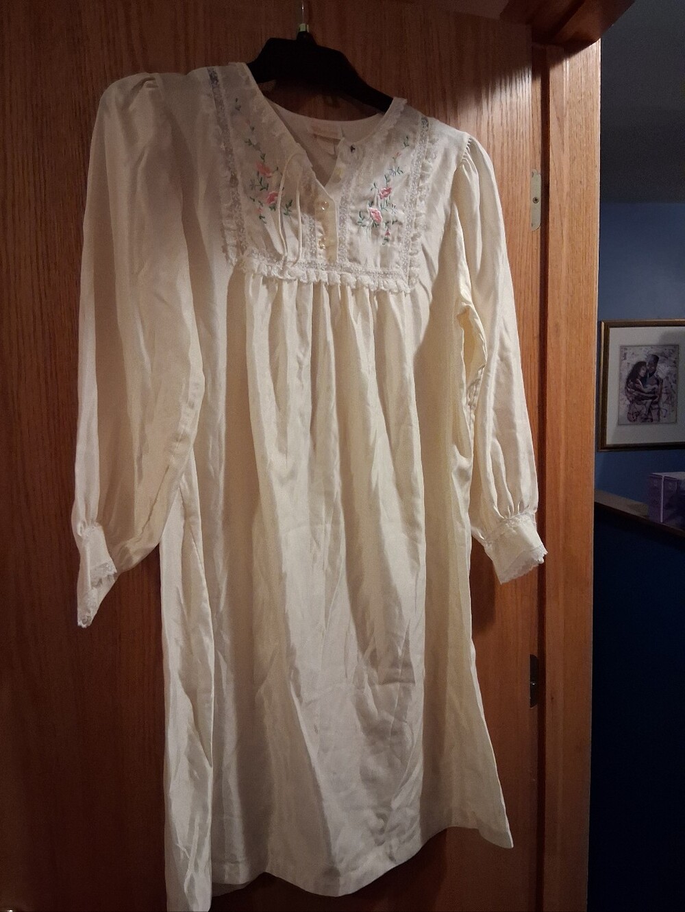 vintage Barbizon nightgown, feminine, "cottagecore",romantic, Victorian, Prairie - Picture 1 of 9